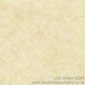 Lisa Cream blush.jpg